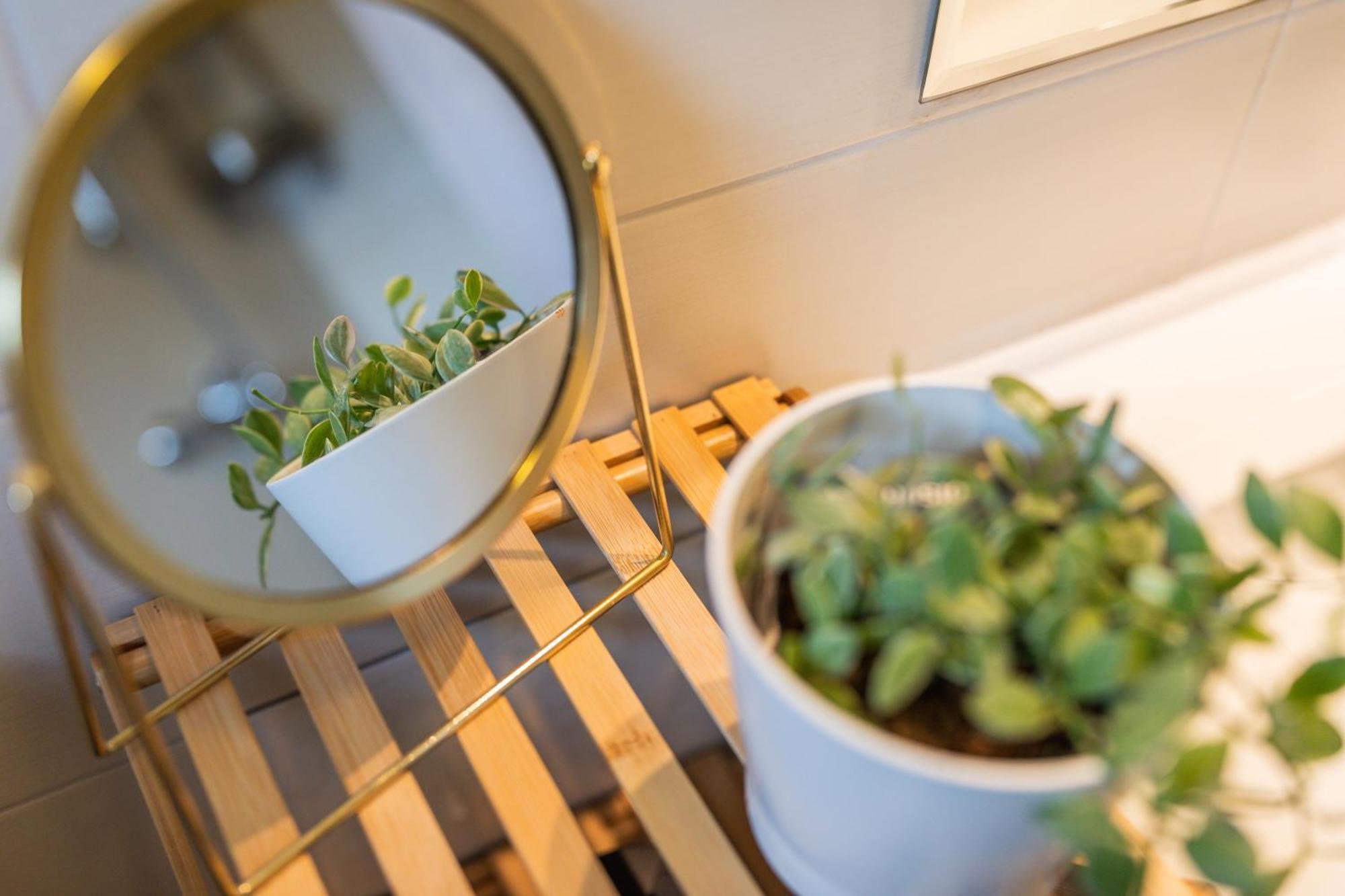 Apartment Sara ラコヴィツァ エクステリア 写真